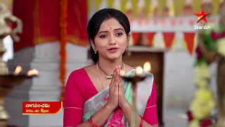 NagaPanchami - Promo | 8th Feb 2024 | Star Maa Serials | Mon -Sat at 8 pm | Star Maa