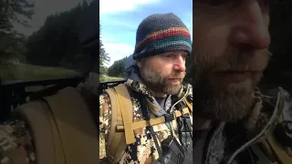 Spring Black Bear Hunt, Alaska