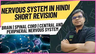 Nervous System in Hindi | Brain | Spinal Cord | Central and Peripheral Nervous System Dinesh sir