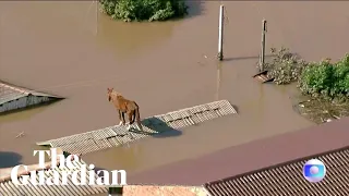 Horse stranded on rooftop after flooding hits southern Brazil