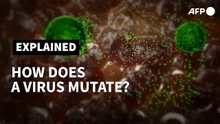 How does a virus mutate? | AFP