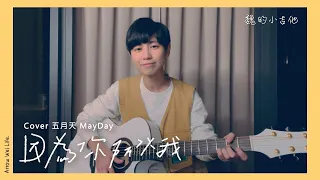 五月天 MayDay《因為你所以我》｜吉他翻唱 Cover｜魏嘉瑩｜魏的小吉他