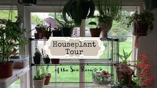 House Plant Tour of the Sun Room