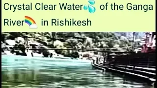 Crystal Clear Water of the Ganga River in Rishikesh 😊💝💝