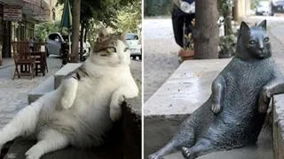 Cat Honored With A Statue, MEET - Tomboli