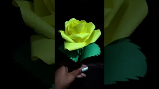 Easy Paper Rose🌹How to make Rose Flower❤️ #rose #shorts #trending #youtubeshorts #viral #papercraft