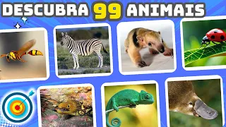 ADIVINHE O ANIMAL | Acha que é fácil? | 95% erram. #quiz #showquiz