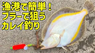 【GWのファミリー釣りにも！】漁港から簡単に狙うカレイ釣りが楽しすぎる！【カレイ　ブラーフィッシング】