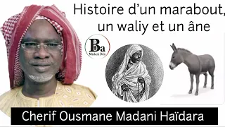 Histoire d'un Waliy, un marabout et un âne "Cherif Ousmane Madani Haïdara"