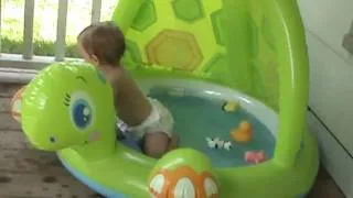 Jaidn's Turtle Pool