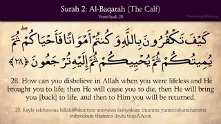 Surah Baqarah | Verse 26-30 | Memorize Quran | Mishary Al-Afasy,Ibrahim Walk|English|Repeat 10 times