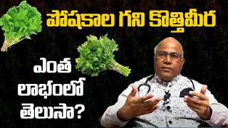 Coriander Health Benefits explained by Dr CL Venkat Rao | Telugu Popular TV