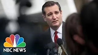 Ted Cruz Calls Tabloid Story ‘Garbage’ | NBC News