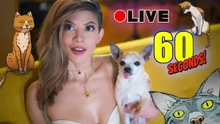 THE CRAZY CAT LADY IS THE WORST - 60 Seconds LIVE