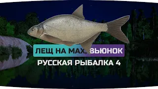 Фарм ЛЕЩА на Вьюнке ● На МАХИ ● Русская Рыбалка 4