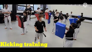 Shield target training taekwondo kick practice