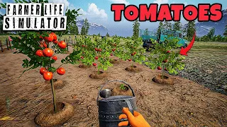 I Started A Tomatoes Farm | Farmer Life Simulator #1