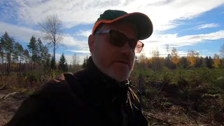 Lyckad efterjakt! - Älgjakt i Bastfallet 2018 - Successful Moose Hunt