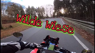 Einmal Wilde Wiese im Sauerland mit der Yamaha MT10SP