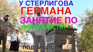 🐝100 ГЕРМАН СТЕРЛИГОВ УРОК ПЧЕЛОВОД МЁД ПЧЕЛОВОДСТВО ВИДЕО РАМКИ НАТУРАЛЬНЫЕ ПРОДУКТЫ РОССИЯ ПЧЕЛЫ