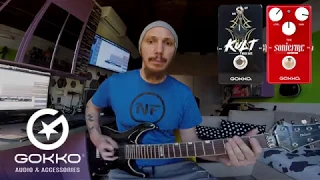 Gokko Audio - Guitar shredders_Gianluca Ferro testing SonicFire & Kult