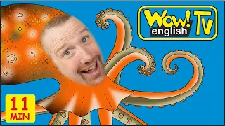 Sea and Farm Animals for Kids | English Stories from Steve and Maggie | Wow English TV