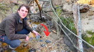 Flash Flood Exposes Treasures at Bottom of Creek Bed (Mudlarking)