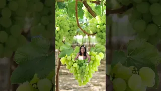 Grapes 🍇  #fruit #splitfruit #shorts #shortvideo #youtubeshorts #shortsviral #trend #viralshorts