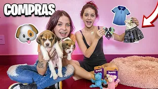 COMPRINHAS PARA OS NOSSOS CACHORRINHOS!!