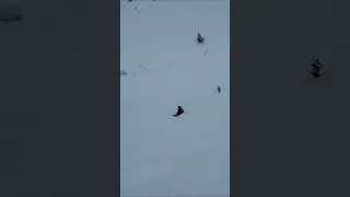 Pow Day Ski Jumping