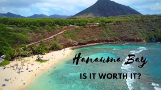 Hanauma Bay | Oahu, HAWAII | Is this the best snorkeling spot?