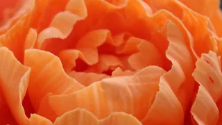 Part 1 - Tulip Copper Image Sugar Flower | Cake Decorating Tutorial