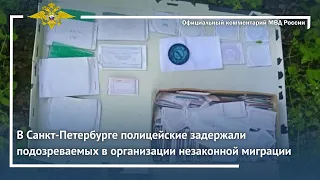 Ирина Волк: В Санкт-Петербурге полицейские задержали подозреваемых в организации незаконной миграции