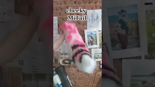 Testing and making Cosplay tails at The Tail Company