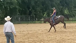 Sensitive Mare says BUCK YOU when asked to Change Leads