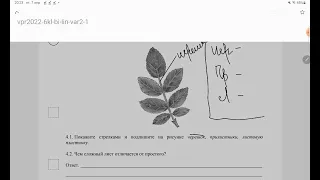 ВПР по биологии 6 класс(Лин.программа)