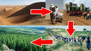 Innovative Methods Showing How China Turns Desert Into Forest