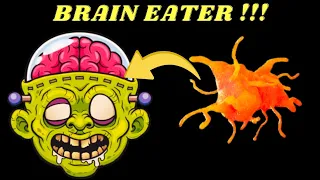 Brain Eating Amoeba: The Most Horrible Parasite