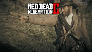 Red Dead Redemption 2 No HUD action & Free Roaming