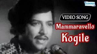 Mammaravello Kogile - Devara Gudi - Vishnuvardhan - Bharathi - Kannada Hit Song