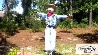 How To Make a Scarecrow