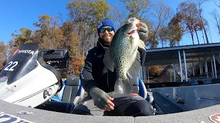 Catching 2 POUND CRAPPIE on BOAT DOCKS!!!