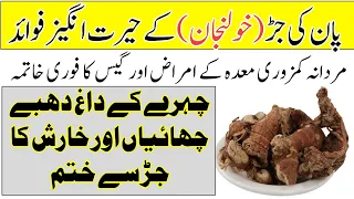 Kulanjan Ke Fayde in Urdu Hindi | Galangal Root Health Benefits