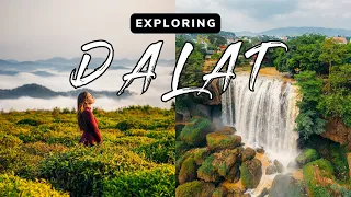 Why You NEED To Visit Dalat Vietnam 🇻🇳 // Da Lat Travel Guide