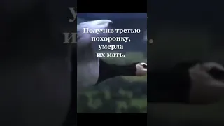 #сднёмпобеды#журавли