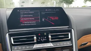 BMW Active Driving Assistant Basics