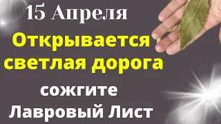 15 Апреля Вселенная откроет светлую Дорогу. Сожгите Лавровый Лист| Лунный календарь