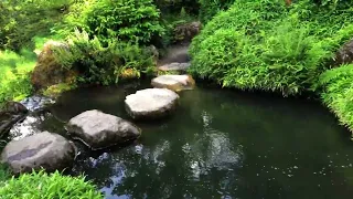 Японский сад! Relaxing video & music.