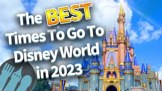 The BEST Times To Go To Disney World in 2023
