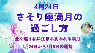 2024年4月蠍座満月の過ごし方【全く違う私に生まれ変われる満月】#満月 #占い #運勢 #星占い #過ごし方 #ホロスコープ